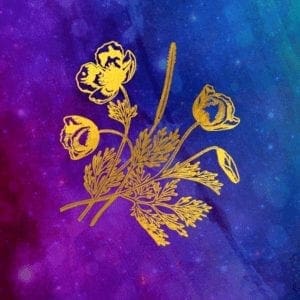Sound Waves Heal Flower Bouquet Sound Waves Heal Flower Bouquet