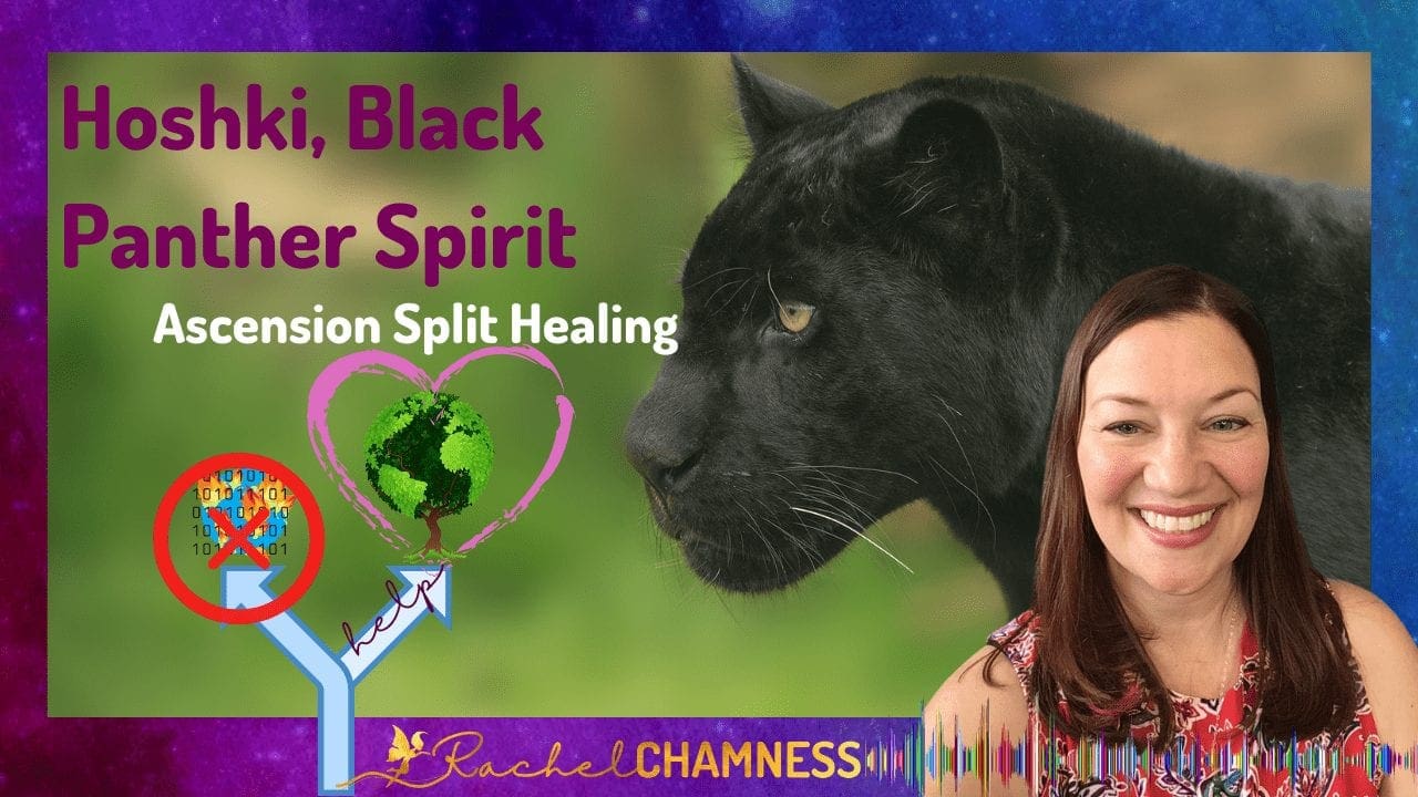 Hoshki Black Panther Channeled Message for Ascension and Sound Healing |  SoundWavesHeal