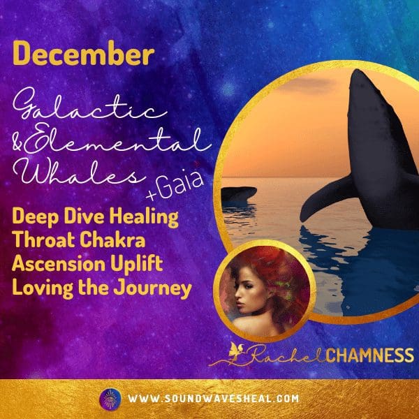 Transformation & Ascension Group whale Image