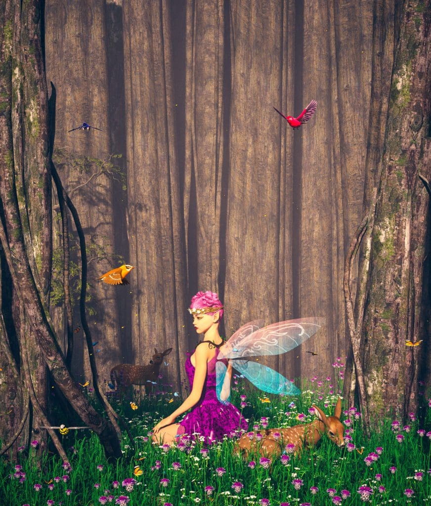 Psychic Development with the Fae retreat image
