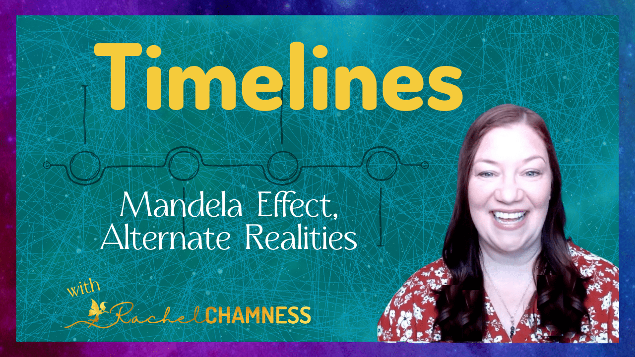 What are Timelines?